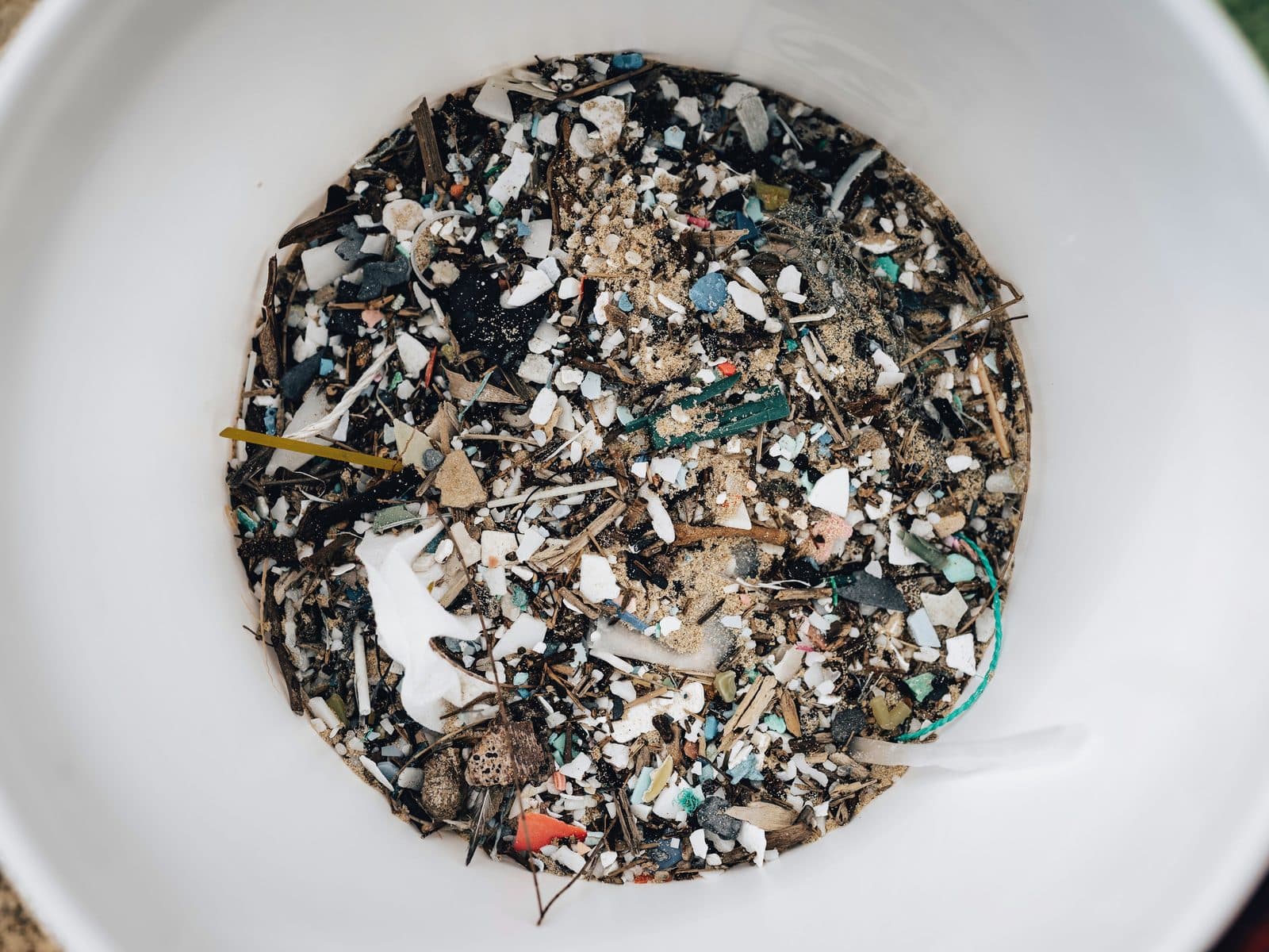 A white bowl holding a sieved beach sample, seen from above — hundreds of plastic fragments only a few millimetres across, in white, teal, blue and red, mixed through the sand and dried seaweed they were sifted from.