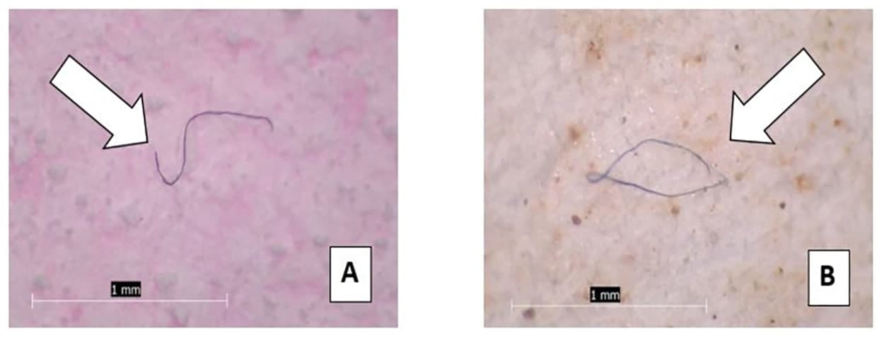 Two side-by-side microscope photographs of sea salt grains, each with a white arrow pointing to a thin blue-violet fibre lying across the crystals. Panel A shows a wavy fibre on pink-tinted salt; panel B shows a fibre doubled back into a loop on cream-coloured salt. Both panels carry a one-millimetre scale bar.