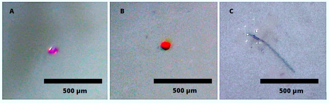 Three microscope photographs side by side, each with a 500-micrometre scale bar. Panel A shows a tiny bright magenta speck; panel B a rounded orange-red particle; panel C a slender translucent fibre lying diagonally across a pale background.