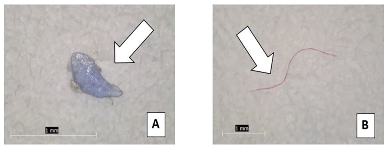 Two side-by-side microscope photographs on a pale filter membrane, each with a white arrow. Panel A shows a solid blue-grey plastic fragment with a torn, irregular outline; panel B shows a long wavy magenta fibre. Both panels carry a one-millimetre scale bar.
